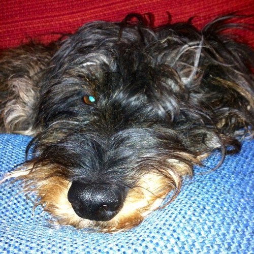 JFijo's profile picture. vecinas sanidad yRsplatinacarabanchel