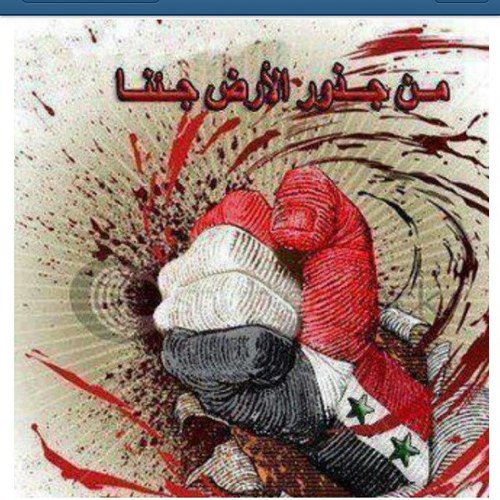 nasseb801's profile picture. 