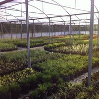 Meadowgate Nursery (@mnursery) 's Twitter Profile