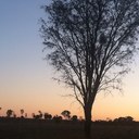 Deanne Bond - @DeanneB007 - Twitter