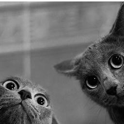 KerstiSau's profile picture. 