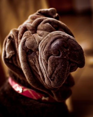 empressvivian's profile picture. 