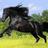 RubnCarrillo86's profile image