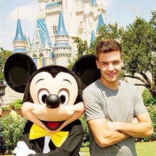 #Directioner #TWfanmily #Simpsonizer