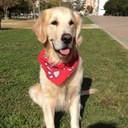 ROSA MONCAYO - @RMoncayo84 - Twitter