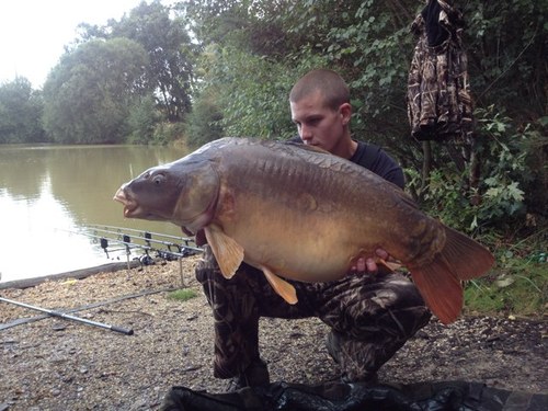 carpingyatesy's profile picture. 