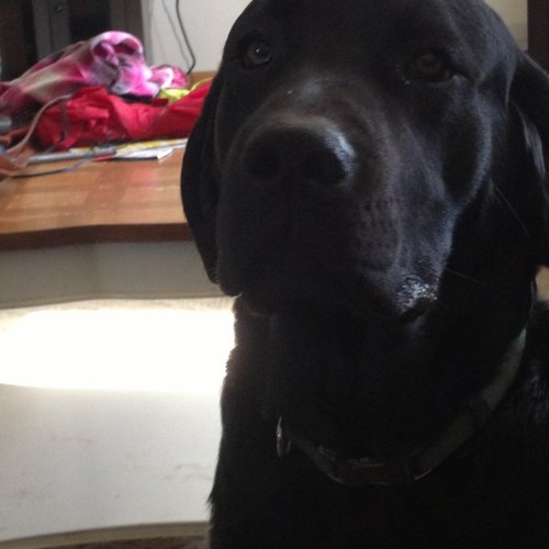 DunkLeah's profile picture. 