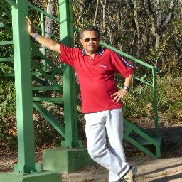 regineus's profile picture. 