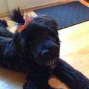 Peggy McMaster - @Peggymcm - Twitter