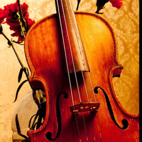 Twitter for viola player problems