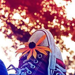 _lifeintech's profile picture. 