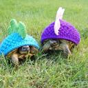 Natalie Lauder - @aNatof2cities - Twitter