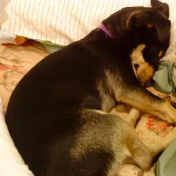 pinkrobebeta's profile picture. Love traveling!