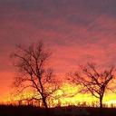 Michele Ritchie - @micheleritchie0 - Twitter