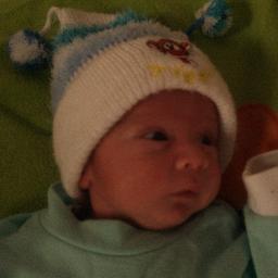 DaniielZerpaA's profile picture. 