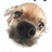 rusppc's profile image