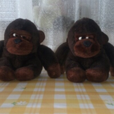 空飛ぶ猿 Nishi1956 Twitter 空飛ぶ猿 Nishi1956 Twitter