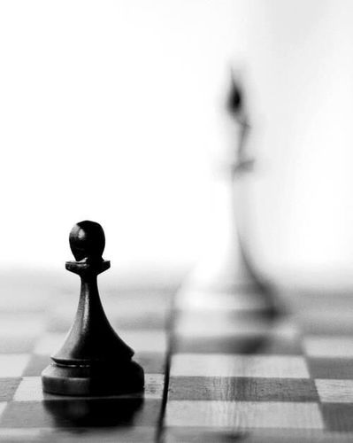 Preliminary1's profile picture. 