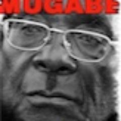 Fraser Grace’s thriller is inspired by newspaper reports that Robert Mugabe, severely depressed..was treated by a white psychiatrist.