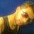 muzikci_'s profile image