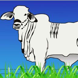 AGRO INVERSIONES