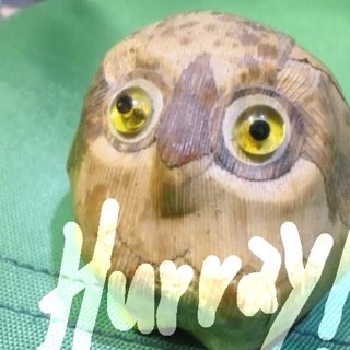 IT系隅っこでなんとか会社員。趣味に色々費やしすぎ。おうちでPC開けたくない病。片付かない。装備:スマホ、iPodTouch、充電池。世代:ドラクエは手書きぼうけんのしょ。好物:サッカー観戦、ゴスペラーズ、タイバニ、USG、シナリオアート、AFOC、MIU404、綾野剛、本読み、カラオケ、LIVE最高！