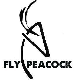 Your first stop for wicked fashion, worldwide shipping