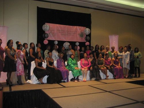 Alpha Kappa Alpha Sorority, Inc - Nu Omicron Omega Chapter, Springfield, IL  We can be reached at nuomicronomega@gmail.com