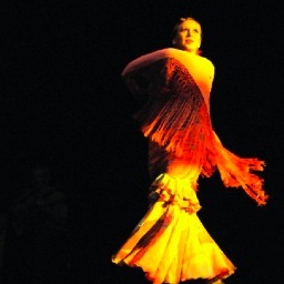 Wife, mother, French/Spanish teacher and lover of all things flamenco