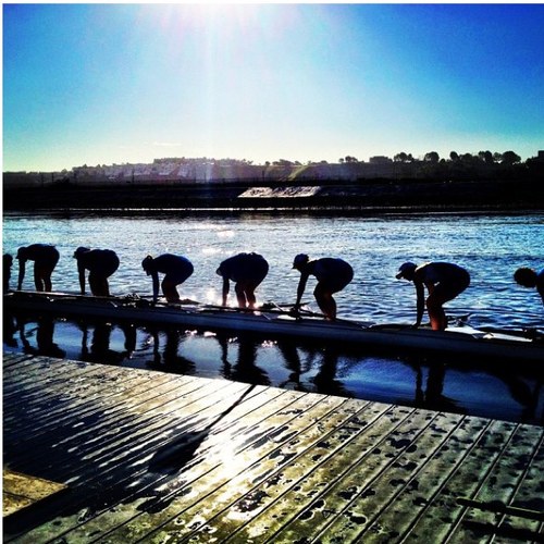 Rowingprobz's profile picture. 
