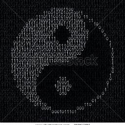 Geekrican, Hacker in training, Youngling Bug Bounty Hunter.