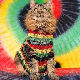 Jus' living the life and smoking while your at work (Send us your cat and business: followthisperson@gmail.com) #teamfollowback