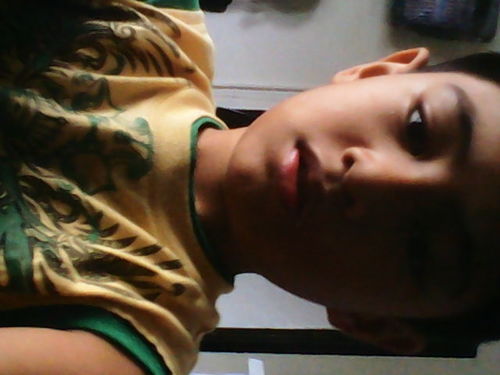 i like cooking, im a minecraft builder , redstone king , like victorious, I lke oreo .