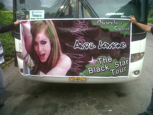 Contador Pùblico! Talifan de Avril Lavigne y Fans de P! nk