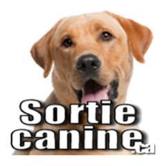 Communauté d'amoureux de chiens qui apprécie les sorties canines!