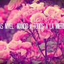 christina ceja Elias - @ceja_cris - Twitter