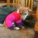 richard jessen - @JessenRessen - Twitter