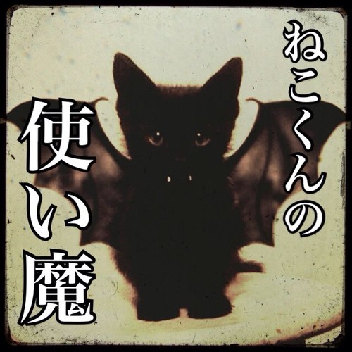 ねこくん Neko13 U Twitter