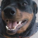 Zane Vargas - @zanyz10 - Twitter