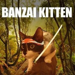 Official twitter for Banzai Kitten, Peruvian acoustic rock band in English.
Twitter offical de Banzai Kitten. Banda peruana de rock acústico en inglés