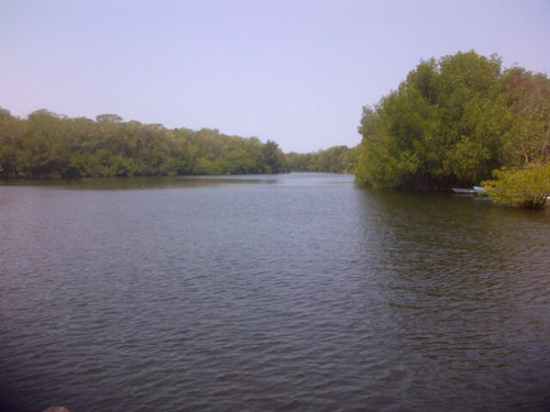 rogerfarrera's profile picture. Campesino de nacimiento, ing. Industrial de profesión, M.  en Admon, la Logistica mi afición, servir mi pasión