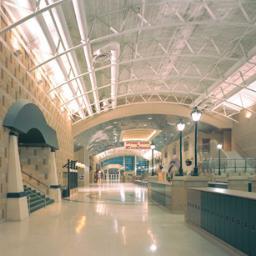 MHSDreams's profile picture. DM us your Dreams. All will remain anonymous and they are all welcome. I am not affiliated with MHS other than I am a student.