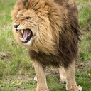 Vicki Mosley - @Vbebe1982 - Twitter