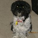 David Mcnicholas - @djandmayz - Twitter