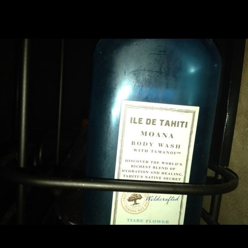 Shorty17Jose's profile picture. 