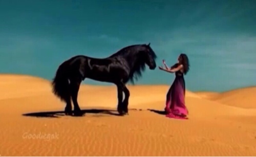 ابحث عن وظيفه وجميله ومالي حظ
