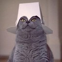 Roro - @brian_fell24 - Twitter