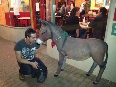 Bachelor_AU's profile picture. Bodybuilding, sports, travel, life, food, wine, movies, dvds, and politics. 

Will try & not make this sound like a dating site