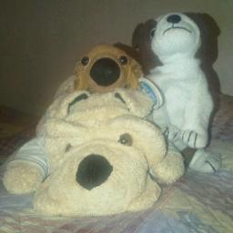 Graduado en todo. ¿Quieres saber algo? Yo lo se. ¿Los monstruos existen? ¡ahm!