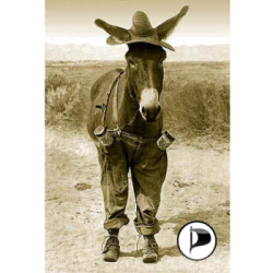 _ignoramus_'s profile picture.